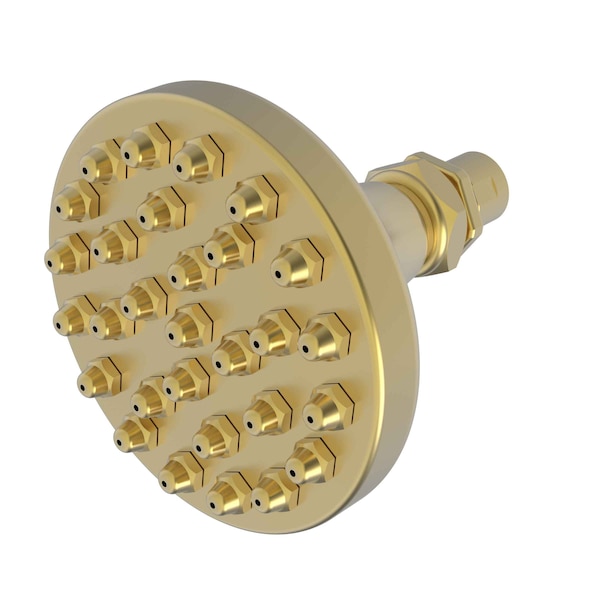 Newport Brass Single Function Shower Head in Satin Gold (Pvd) 214-24S - main